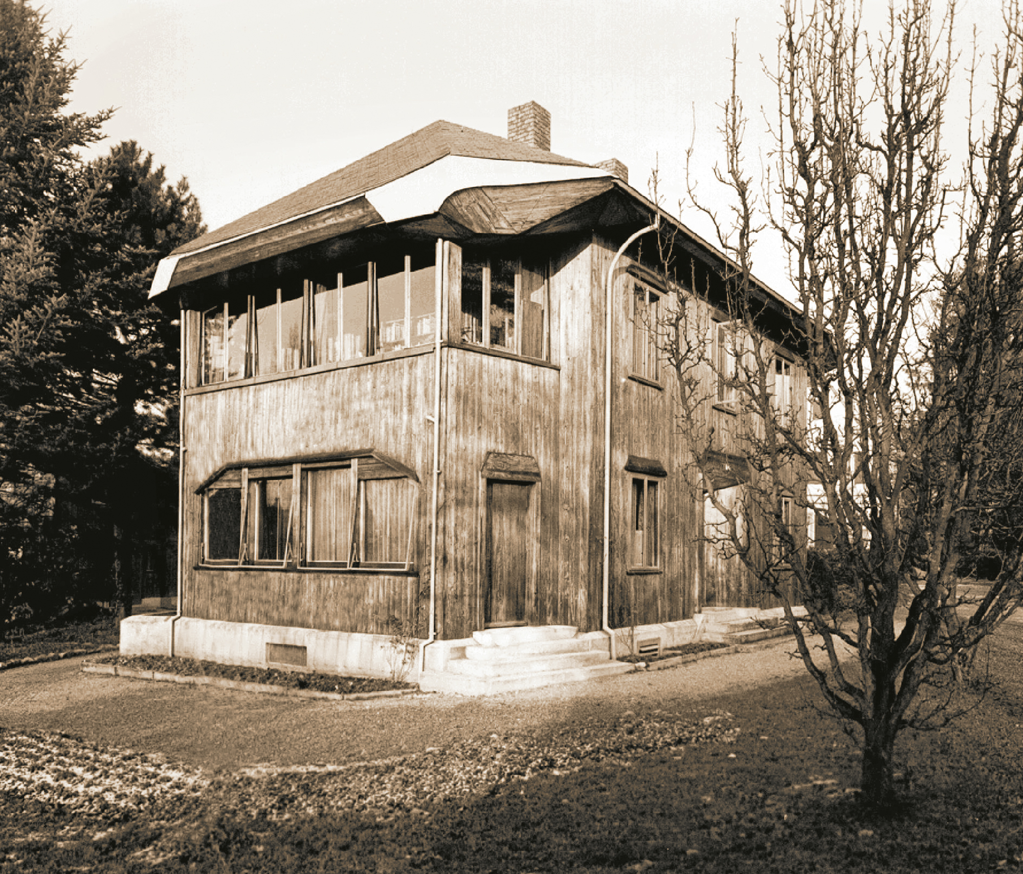 FondsGoetheanum: Die vielfache Wirkung der Mistel bei Krebs